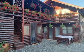 Casa Baciu