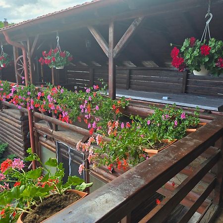 Villa Casa Baciu à Turda Extérieur photo