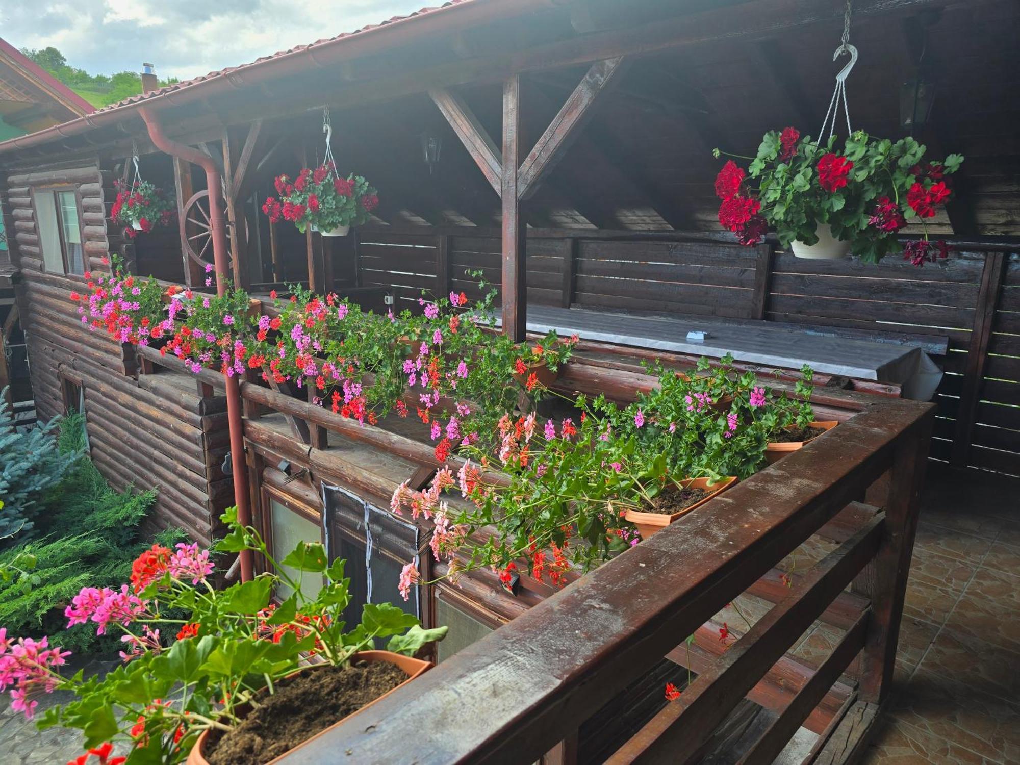 Villa Casa Baciu à Turda Extérieur photo